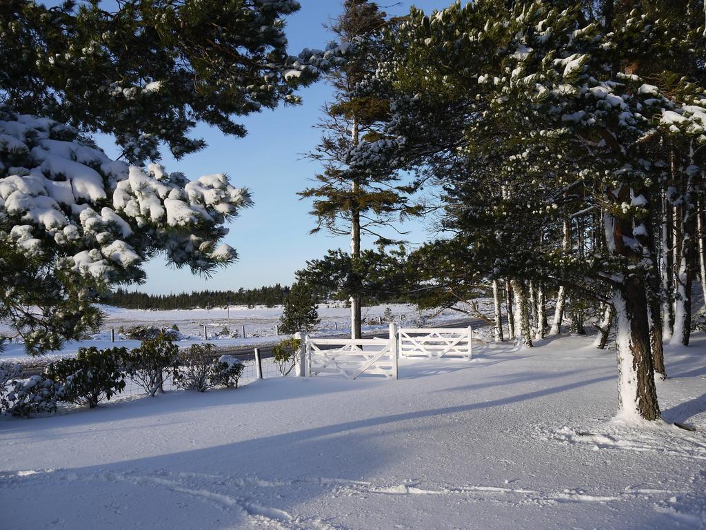 مبيت وإفطار Grantown-on-Spey Dava School House المظهر الخارجي الصورة