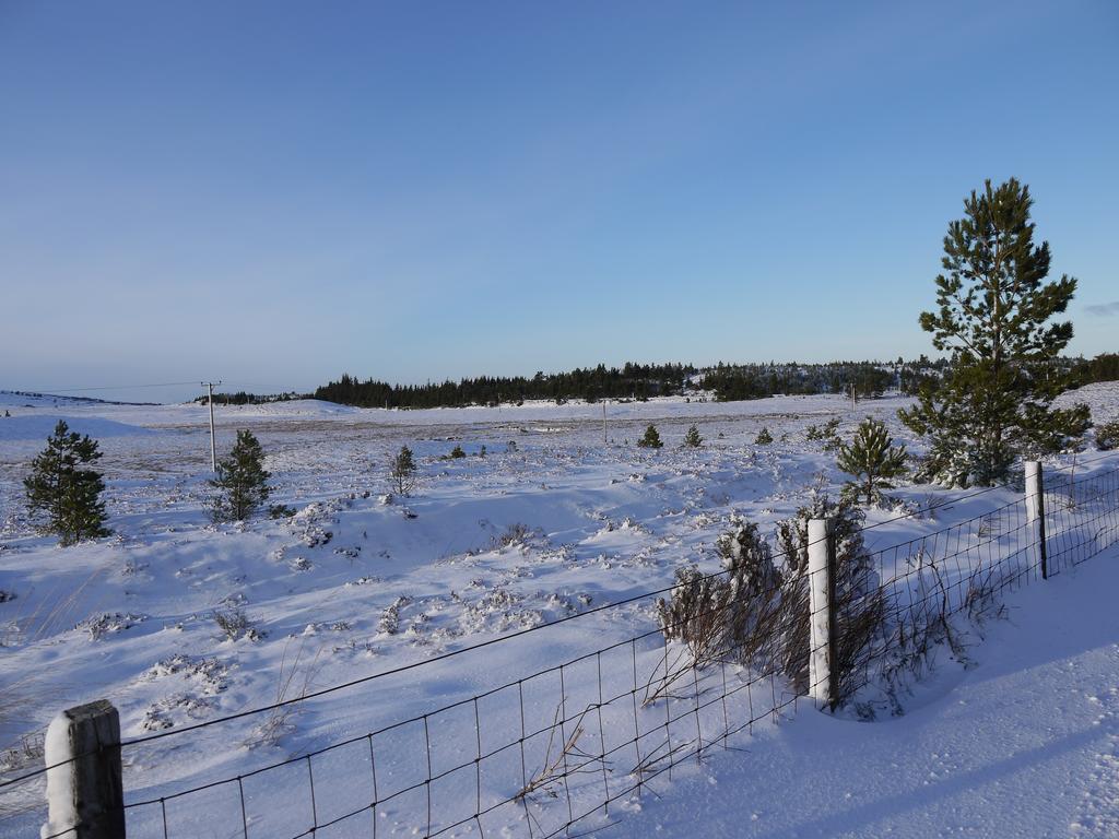 مبيت وإفطار Grantown-on-Spey Dava School House المظهر الخارجي الصورة