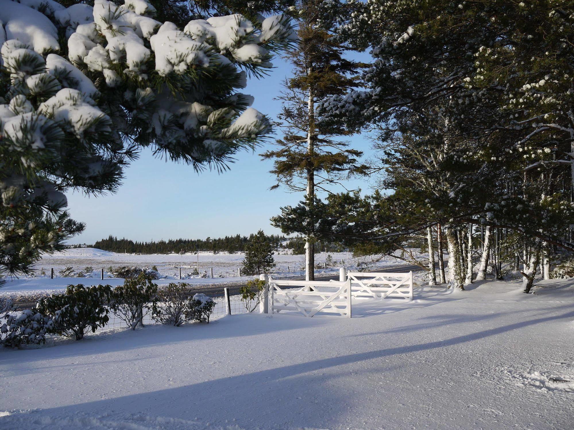 مبيت وإفطار Grantown-on-Spey Dava School House المظهر الخارجي الصورة